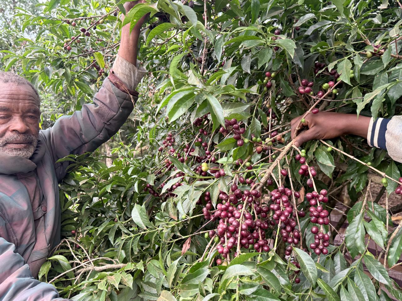 WhatsApp Image 2025-12-13 at 10.20.34 AM