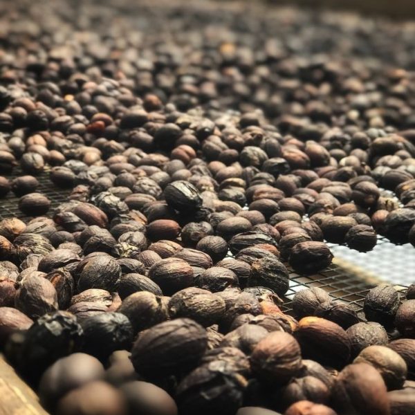 WhatsApp Image 2026-01-16 at 9.37.02 AM