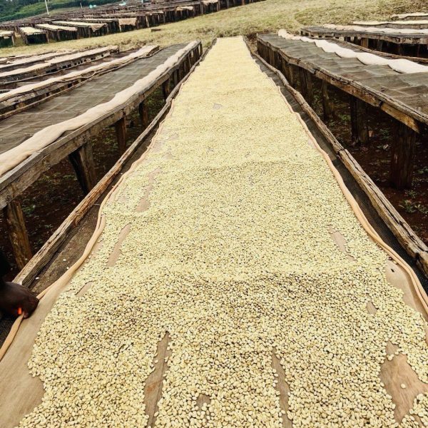 photo_2026-01-27_08-39-05 (2)