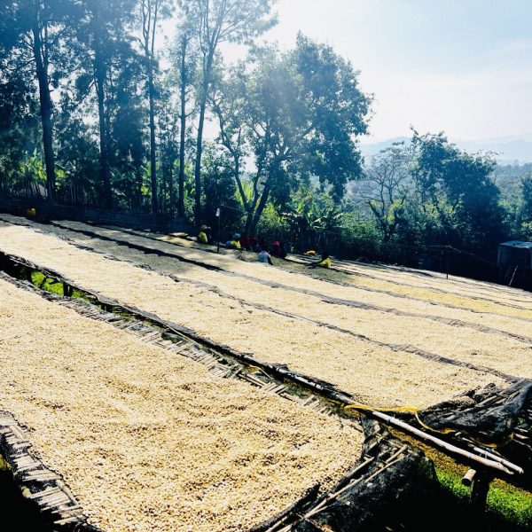 photo_2026-01-27_08-39-05 (3)