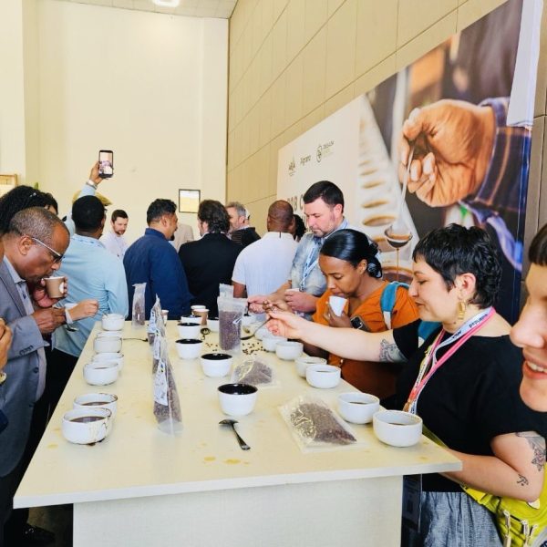 photo_2026-02-19_14-06-44