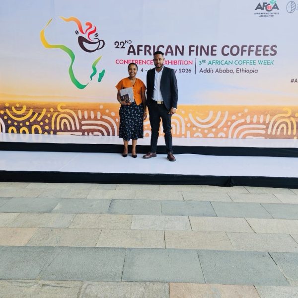 photo_2026-02-19_14-07-57