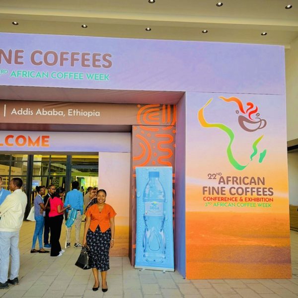 photo_2026-02-19_14-09-05